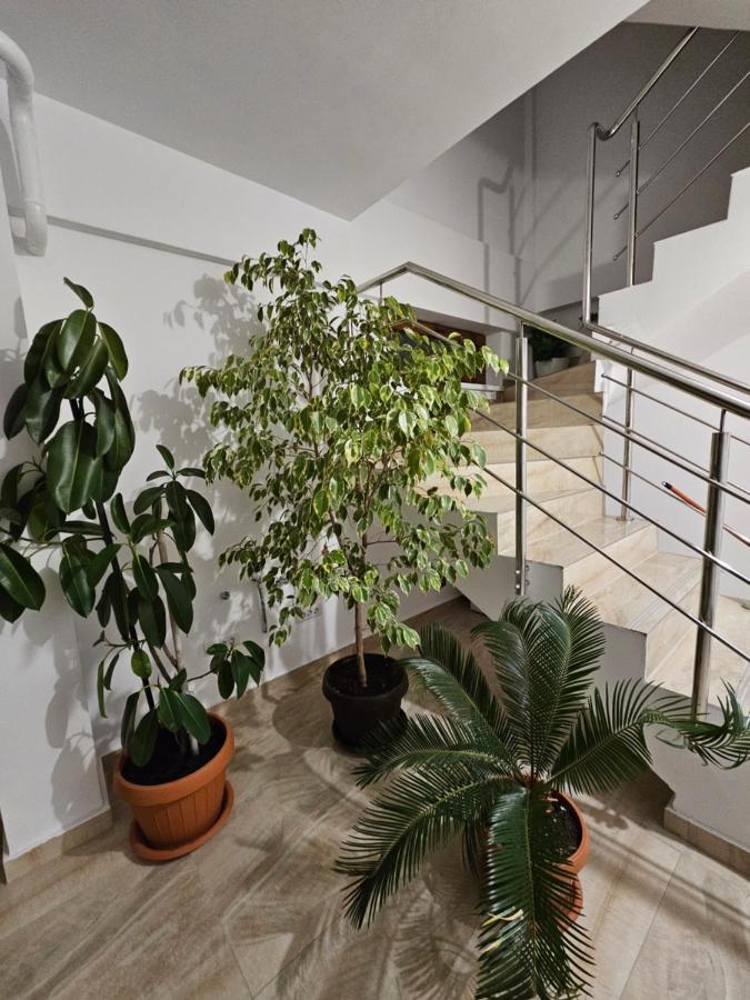 Didi Apartament Craiova Eksteriør billede