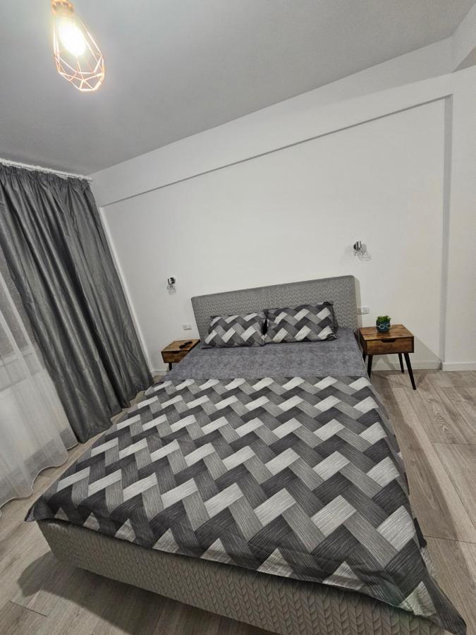 Didi Apartament Craiova Eksteriør billede