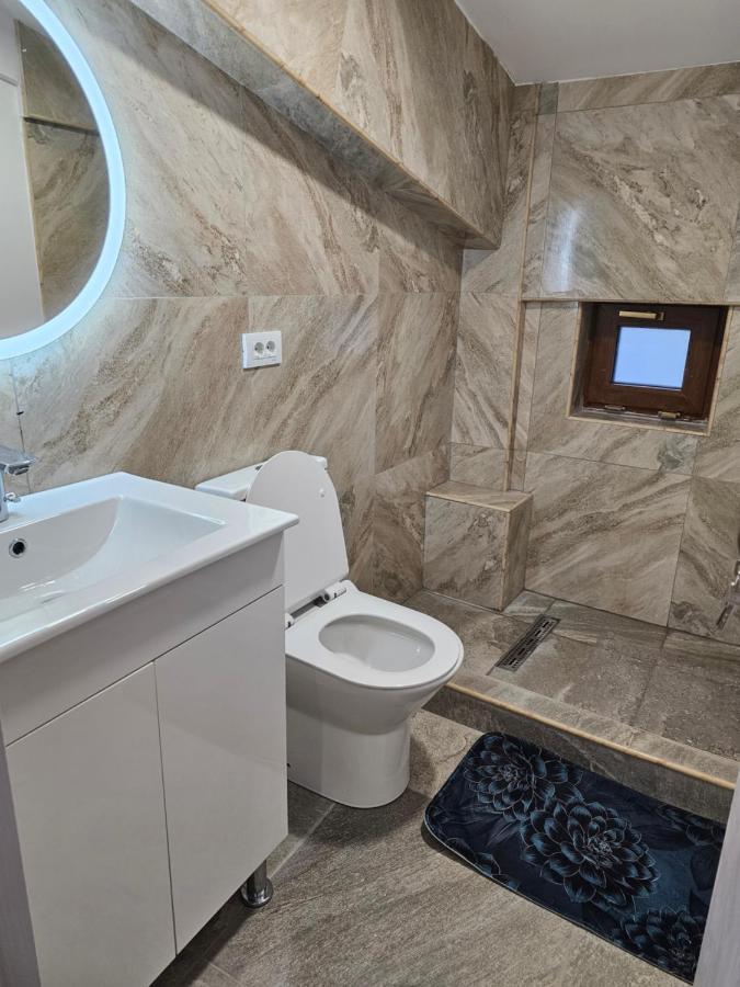 Didi Apartament Craiova Eksteriør billede
